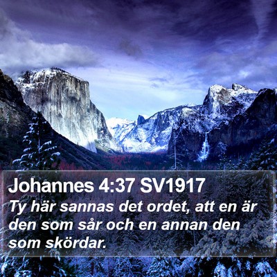 Johannes 4:37 SV1917 Bible Verse Image
