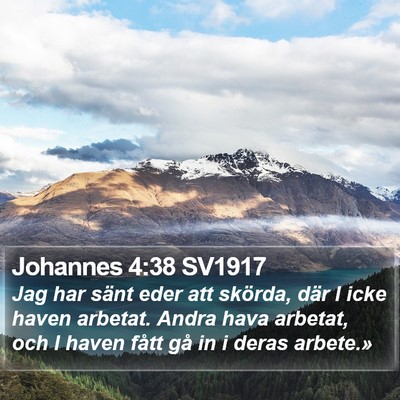 Johannes 4:38 SV1917 Bible Verse Image
