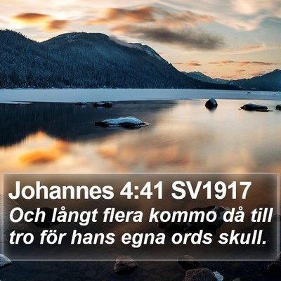 Johannes 4:41 SV1917 Bible Verse Image