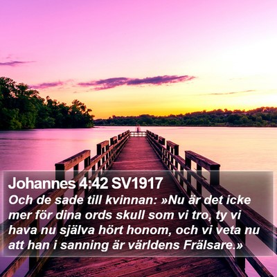 Johannes 4:42 SV1917 Bible Verse Image