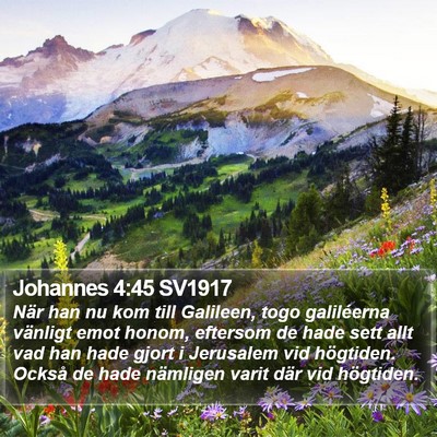 Johannes 4:45 SV1917 Bible Verse Image