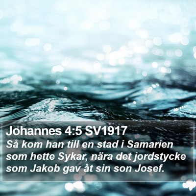 Johannes 4:5 SV1917 Bible Verse Image