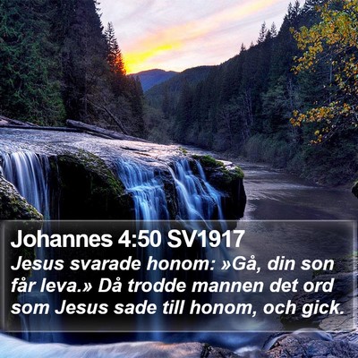 Johannes 4:50 SV1917 Bible Verse Image