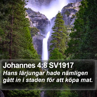 Johannes 4:8 SV1917 Bible Verse Image