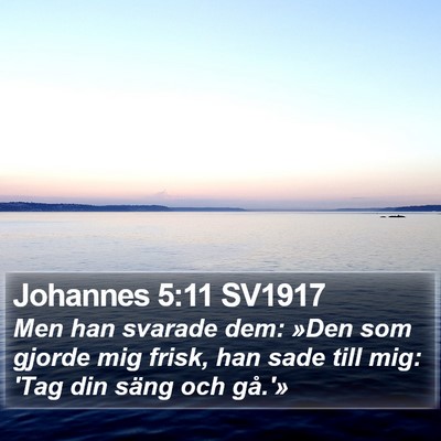 Johannes 5:11 SV1917 Bible Verse Image