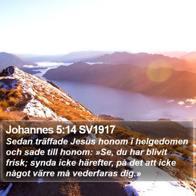Johannes 5:14 SV1917 Bible Verse Image
