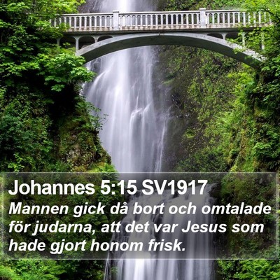 Johannes 5:15 SV1917 Bible Verse Image