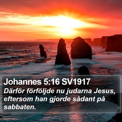 Johannes 5:16 SV1917 Bible Verse Image