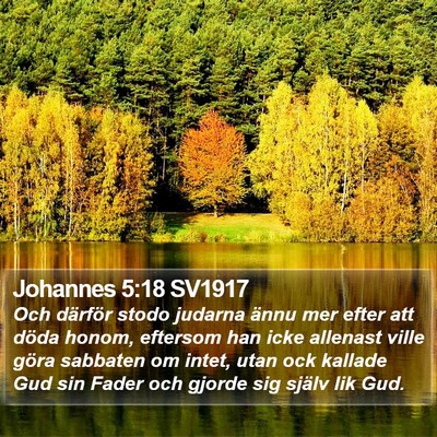 Johannes 5:18 SV1917 Bible Verse Image