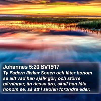 Johannes 5:20 SV1917 Bible Verse Image