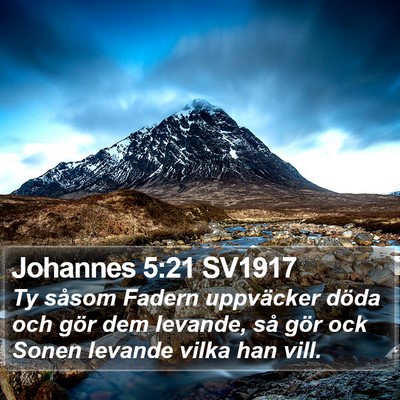Johannes 5:21 SV1917 Bible Verse Image