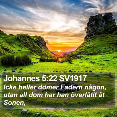 Johannes 5:22 SV1917 Bible Verse Image