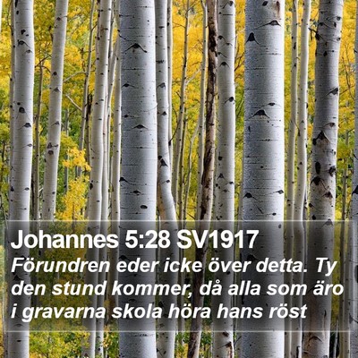 Johannes 5:28 SV1917 Bible Verse Image