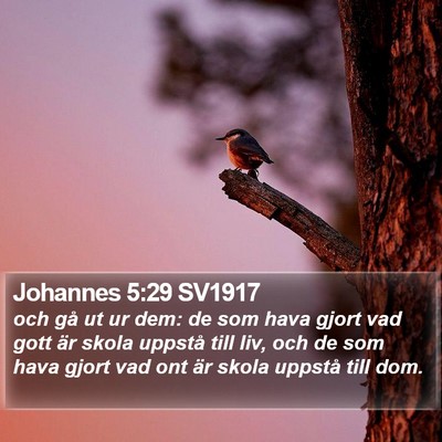 Johannes 5:29 SV1917 Bible Verse Image