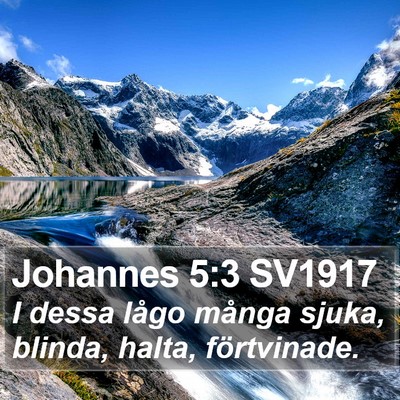 Johannes 5:3 SV1917 Bible Verse Image