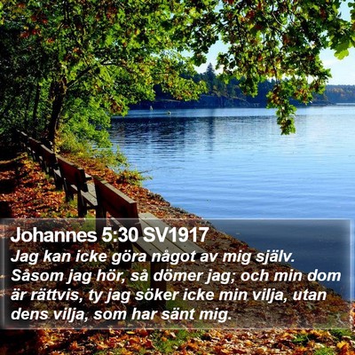 Johannes 5:30 SV1917 Bible Verse Image
