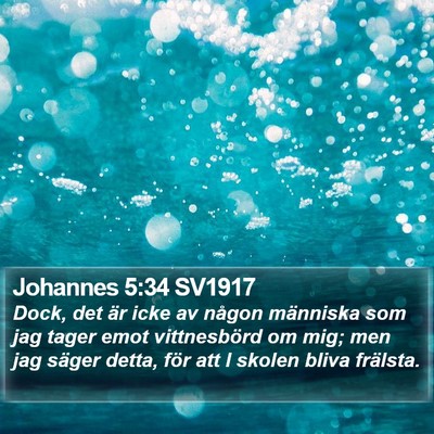 Johannes 5:34 SV1917 Bible Verse Image