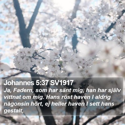 Johannes 5:37 SV1917 Bible Verse Image