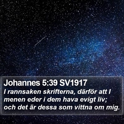 Johannes 5:39 SV1917 Bible Verse Image