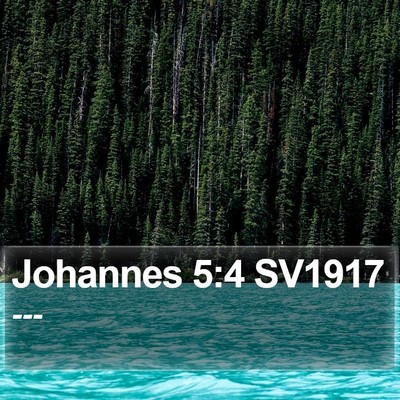 Johannes 5:4 SV1917 Bible Verse Image