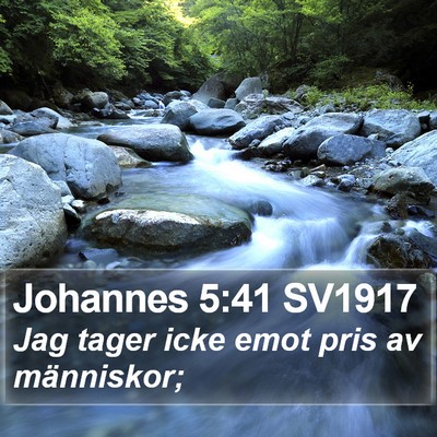 Johannes 5:41 SV1917 Bible Verse Image