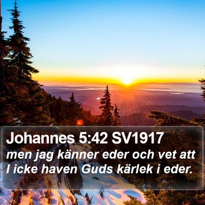 Johannes 5:42 SV1917 Bible Verse Image