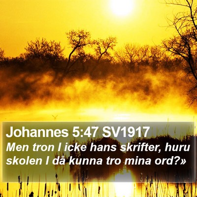 Johannes 5:47 SV1917 Bible Verse Image