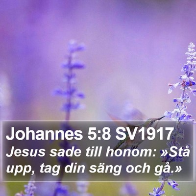 Johannes 5:8 SV1917 Bible Verse Image