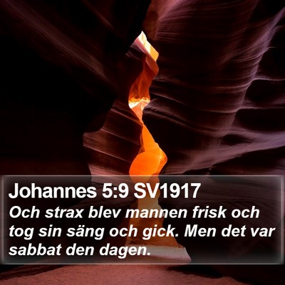 Johannes 5:9 SV1917 Bible Verse Image