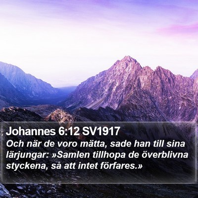 Johannes 6:12 SV1917 Bible Verse Image