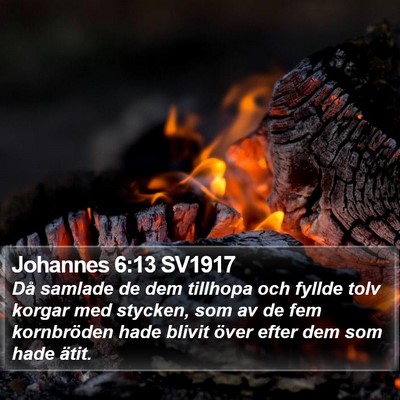 Johannes 6:13 SV1917 Bible Verse Image