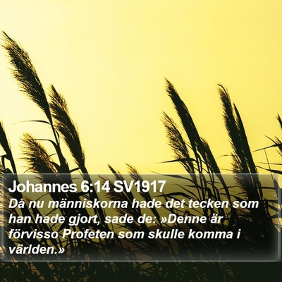 Johannes 6:14 SV1917 Bible Verse Image