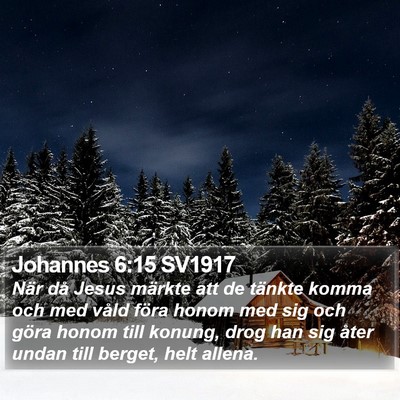 Johannes 6:15 SV1917 Bible Verse Image