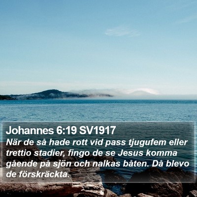 Johannes 6:19 SV1917 Bible Verse Image