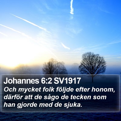 Johannes 6:2 SV1917 Bible Verse Image