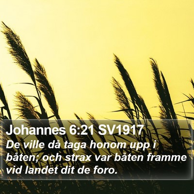 Johannes 6:21 SV1917 Bible Verse Image
