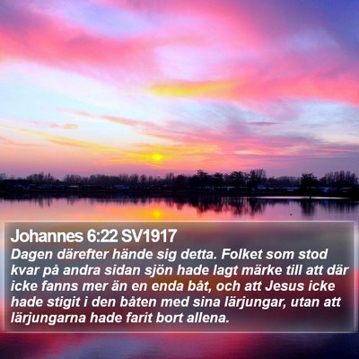 Johannes 6:22 SV1917 Bible Verse Image