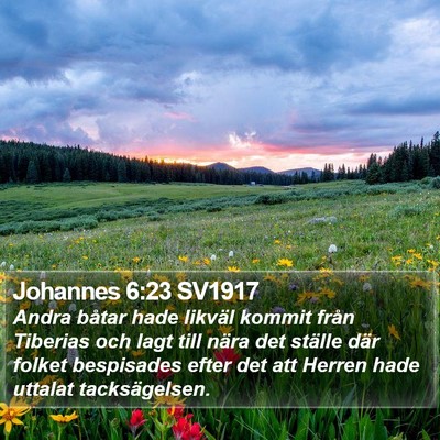 Johannes 6:23 SV1917 Bible Verse Image