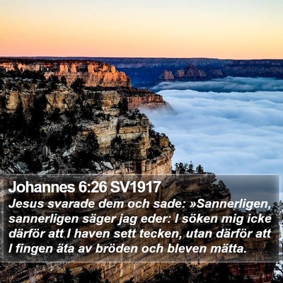 Johannes 6:26 SV1917 Bible Verse Image