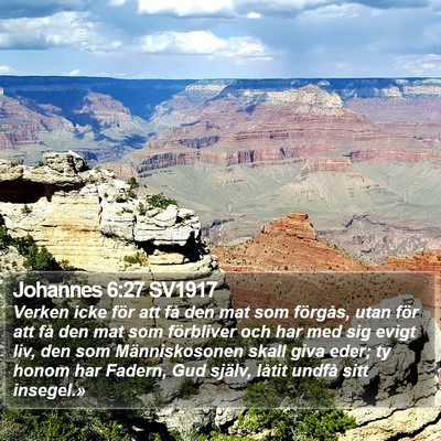 Johannes 6:27 SV1917 Bible Verse Image