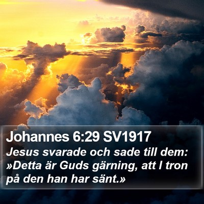 Johannes 6:29 SV1917 Bible Verse Image