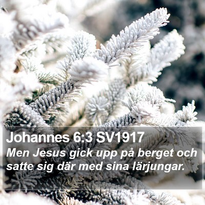 Johannes 6:3 SV1917 Bible Verse Image