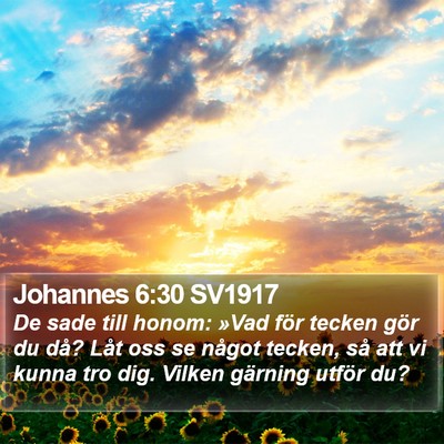 Johannes 6:30 SV1917 Bible Verse Image