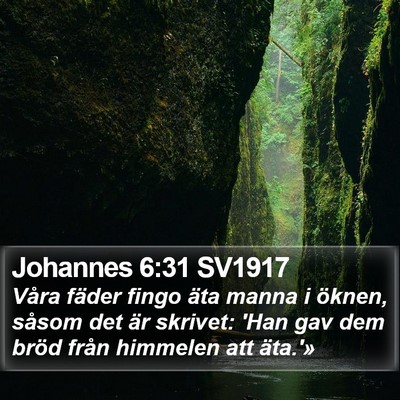 Johannes 6:31 SV1917 Bible Verse Image