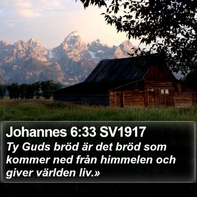 Johannes 6:33 SV1917 Bible Verse Image