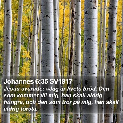 Johannes 6:35 SV1917 Bible Verse Image