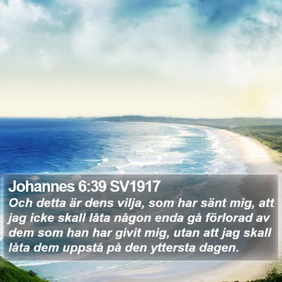 Johannes 6:39 SV1917 Bible Verse Image