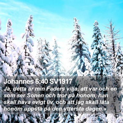 Johannes 6:40 SV1917 Bible Verse Image