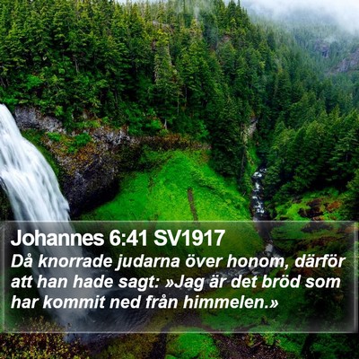 Johannes 6:41 SV1917 Bible Verse Image