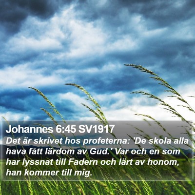 Johannes 6:45 SV1917 Bible Verse Image